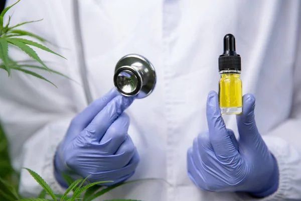 CBD Hemp oil, Doctor holding a bottle of hemp oil and stethoscop — Stock Photo, Image