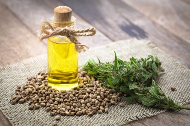Kenevir tohumları ve Cbd yağ kenevir özü, Tıbbi esrar c