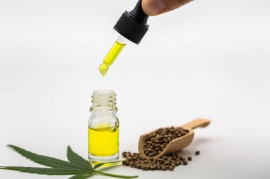 Kenevir tohumu ve damlacık biyolojik ve ekolojik kenevir dosing 