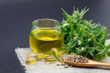 Haşhaş ürünleri. Cbd yağı kenevir özü, tıbbi kenevir.