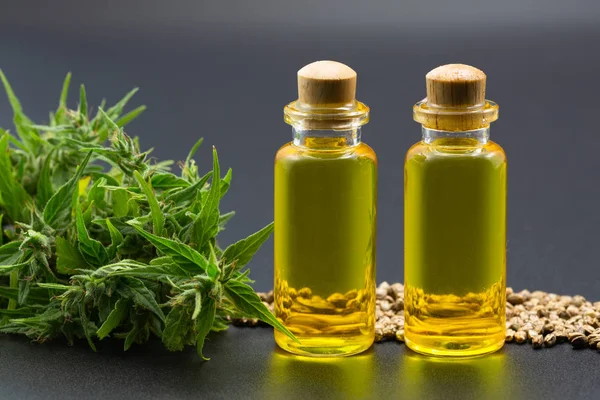 Hennepolie CBD, cannabis kruid en bladeren voor behandeling, extract f — Stockfoto