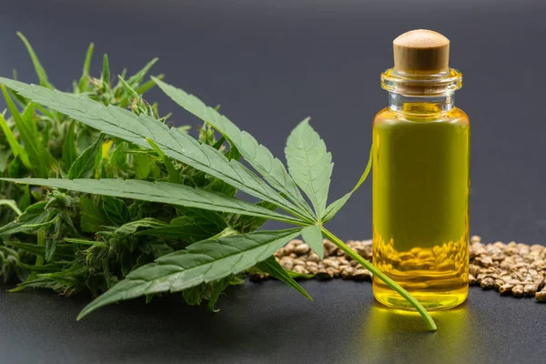 Hemp oil cbd, Cannabis herb and leaves for treatment, Extract f — Stock Photo, Image