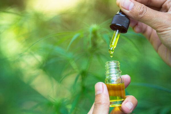 Detail of dropper with CBD oil  onHemp flower background, Cannab