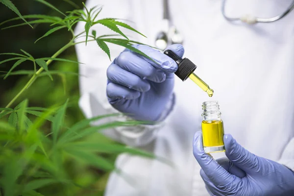 Doctor holding a bottle of hemp oil, Medical marijuana products — Stock Photo, Image