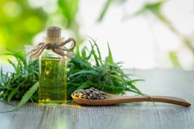 Kenevir tohumu ve Cbd yağı kenevir özü, yeşil kenevir yaprağı bak