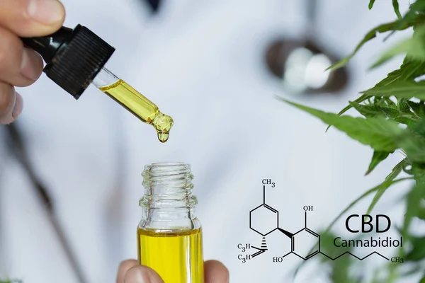 Cbd Elements Hand Holding Pipette Cannabis Oil Cannabis Plant Cbd — Stock Photo, Image