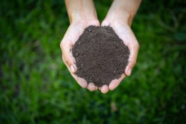 Üst Manzara. Toprağı elinde tutan çiftçi. Araştırmacılar toprağın kalitesini kontrol ediyorlar. Tarım, bahçıvanlık veya ekoloji konsepti, kopyalama alanı.