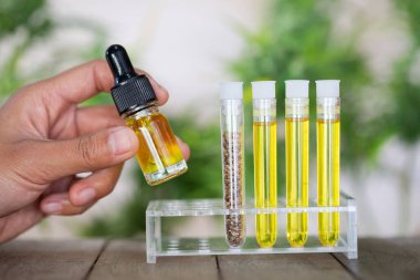 Pipette bir şişe kenevir yağı var. CBD petrol kenevir özü, Tıbbi esrar kavramı, 