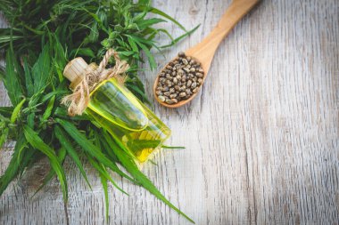 Masanın üzerinde tahta bir kaşıkta tohum keneviri, cam kavanozda yağ, Cbd kenevir yağı. İlaç için alternatif otlar. Boşluğu kopyala.