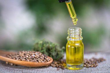 Araştırmacılar kenevir yağının çıkarılmasını inceliyorlar. CBD kenevir yağı. tıbbi marihuana kavramı.  