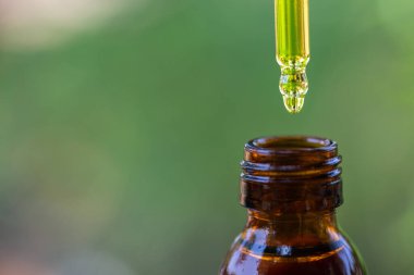 Biyolojik ve ekolojik kenevir bitkisine ilaç içeren bir damlacığı kavanozdan kapayın. Alternatif tıp için kenevir yağı özü konsepti.