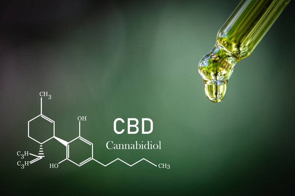CBD elements in Cannabis,  droplet dosing a biological and ecological hemp plant herbal pharmaceutical cbd oil from a jar. Concept of herbal alternative medicine.