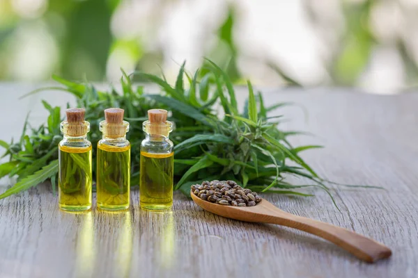 Cbd Olie Cannabis Extract Hennep Olie Flessen Hennep Bloemen Een — Stockfoto