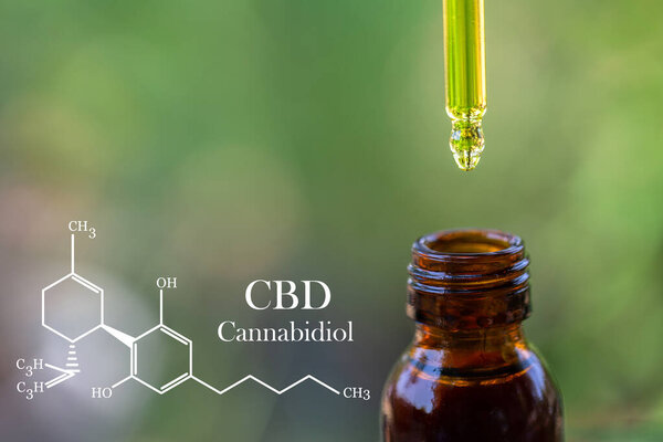 формула каннабидол CBD, капельница дозирования биологических и экологических конопли растение травяные фармацевтические, медицинские марихуаны и масла, альтернативные средства правовой защиты или лекарства, медицинская концепция