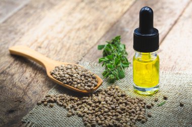 Esrar tohumları ve CBD yağ kenevir özü, yeşil kenevir yaprağı arka planı, Tıbbi esrar kavramı.
