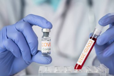 Doktor 2019 nCoV analizi için test tüpünü kanla tutuyor. covid-19 virüsü, Coronavirus kan testi konsepti, şırınga ve mavi eldivenli aşı. 