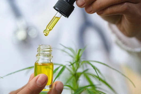 Doctor Mano Sosteniendo Botella Aceite Cannabis Contra Planta Marihuana Pipeta — Foto de Stock