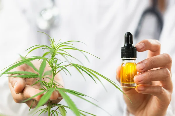Doctor Hand Holding Bottle Cannabis Oil Pipette Hemp Oil Drops — Stock Photo, Image