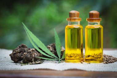 Esrar tohumları ve CBD yağ kenevir özü, yeşil kenevir yaprağı arka planı, Tıbbi esrar kavramı.
