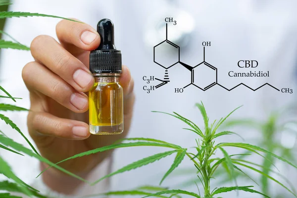 Cannabis Van Formule Cbd Cannabidiol Hennepolie Cbd Olie Cannabisextract Medicinaal — Stockfoto