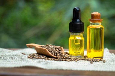 Esrar tohumları ve CBD yağ kenevir özü, yeşil kenevir yaprağı arka planı, Tıbbi esrar kavramı.