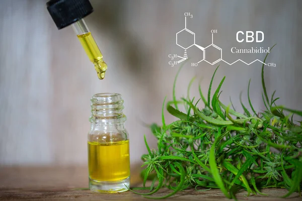 Cbd Element Cannabis Droppe Dosering Biologisk Och Ekologisk Hampa Växt — Stockfoto