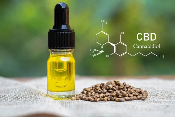 大麻のCbd要素 瓶から生物学的および生態学的麻植物漢方薬のCbd油を投与する液滴 漢方薬の概念 — ストック写真