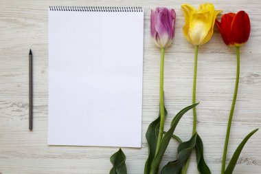 Beyaz ahşap zemin üzerinde defter ile renkli Lale. Üstten Görünüm. Anneler günü. 