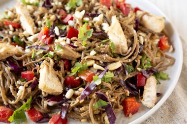 Ev yapımı Baharatlı Tavuk Soba Erişte Salatası Gri bir tabakta