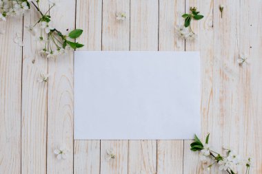 Kiraz çiçekleri ve beyaz kağıdın.