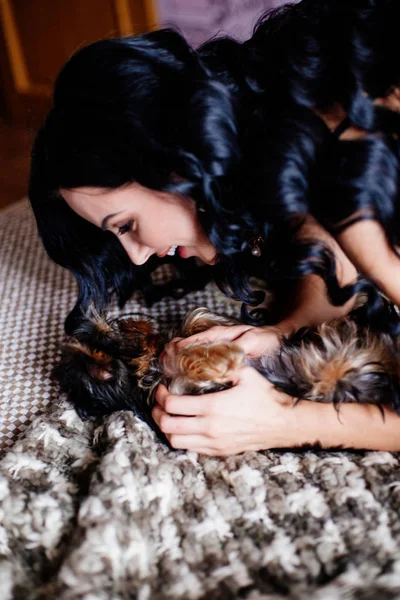 Girl playing with a dog. Stock Photo