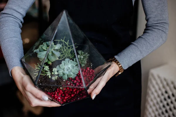 Woman holding geometric florarium. Eco — Stock Photo, Image