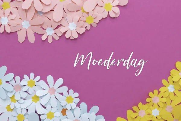 Anneler Günü konsepti için Hollandaca Moederdag. Pembe arka planda el yapımı kağıt çiçekler. Metin için yer. 