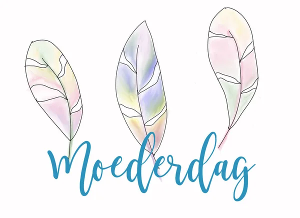 Hollandaca 