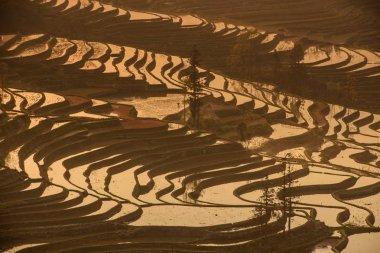Yuanyang pirinç Teras yuanyang köyden Yunnan p güneş doğarken