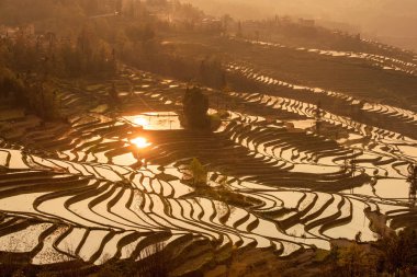 Yuanyang pirinç Teras yuanyang köyden Yunnan p güneş doğarken