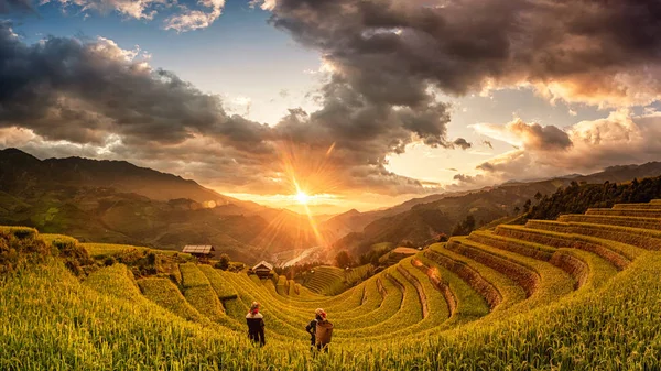 Green Rice Πεδία Για Terraced Muchangchai Βιετνάμ Ορυζώνες Προετοιμάσει Συγκομιδή — Φωτογραφία Αρχείου