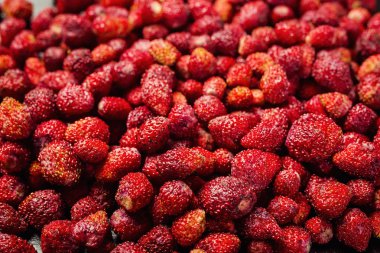 Taze toplanmış çileklerin geçmişi