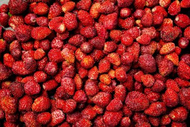 Taze toplanmış çileklerin geçmişi