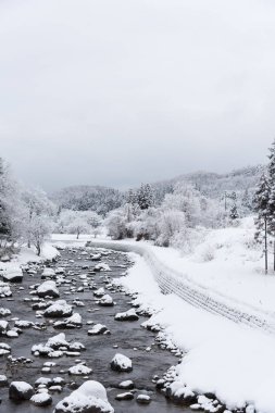 küçük dere ve Japonya, karla kaplı ağaç