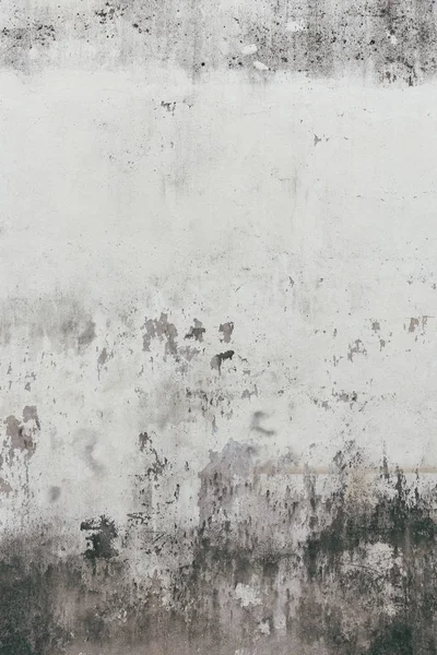 eski rustik duvar arka plan görüntüsü