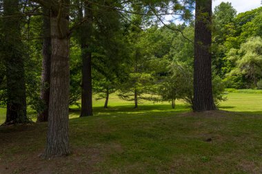Letchworth Eyalet Parkı: Middle Falls