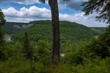 Letchworth Eyalet Parkı: İlham Noktası