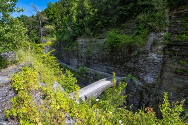 Letchworth Eyalet Parkı: Lower Falls