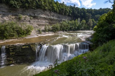 Letchworth Eyalet Parkı: Lower Falls