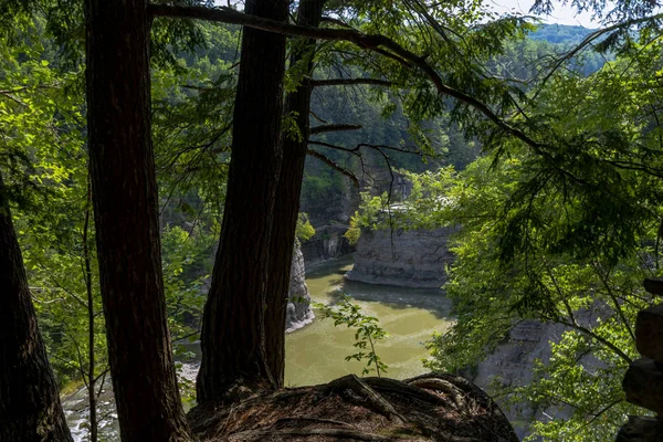 Letchworth State Park: Cascate Inferiori — Foto Stock