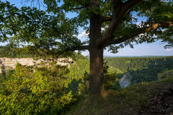 Letchworth Eyalet Parkı: Big Bend Overlook — Stok fotoğraf