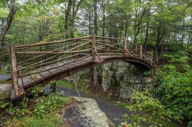Göl Minnewaska