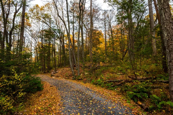 Otoño en el lago Minnewaska —  Fotos de Stock