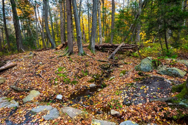 Otoño en el lago Minnewaska —  Fotos de Stock